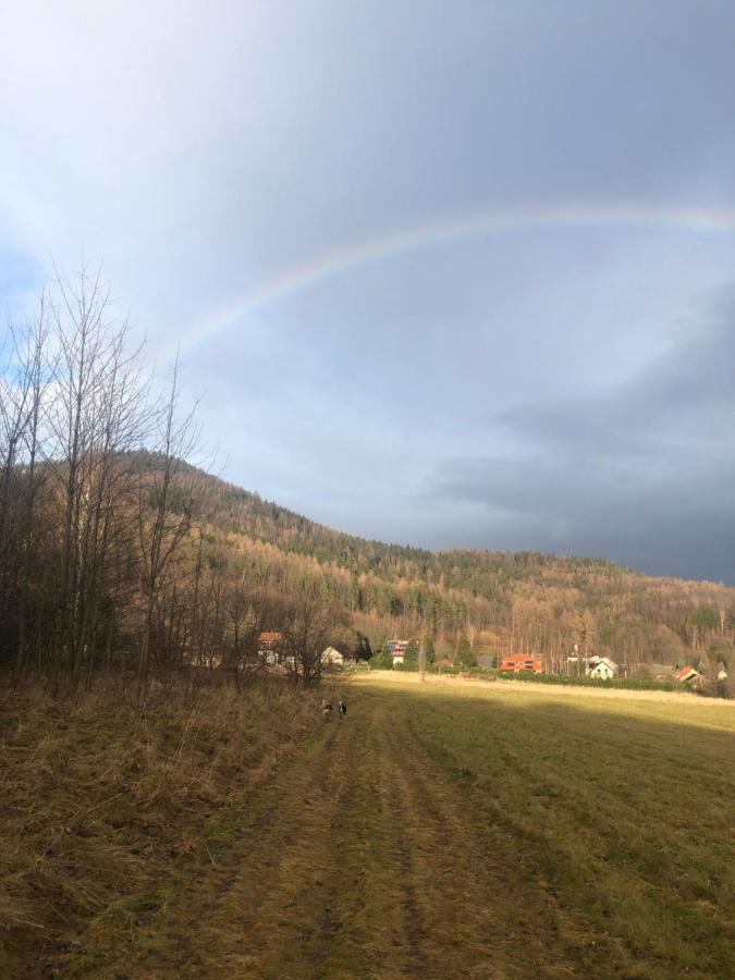 Bryziowka Villa Miłków Dış mekan fotoğraf