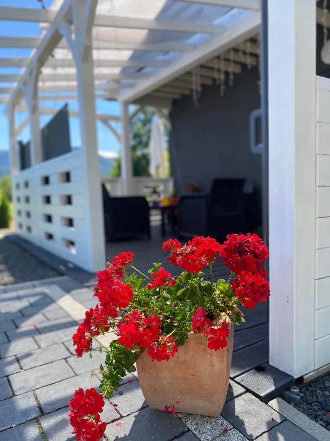 Bryziowka Villa Miłków Dış mekan fotoğraf